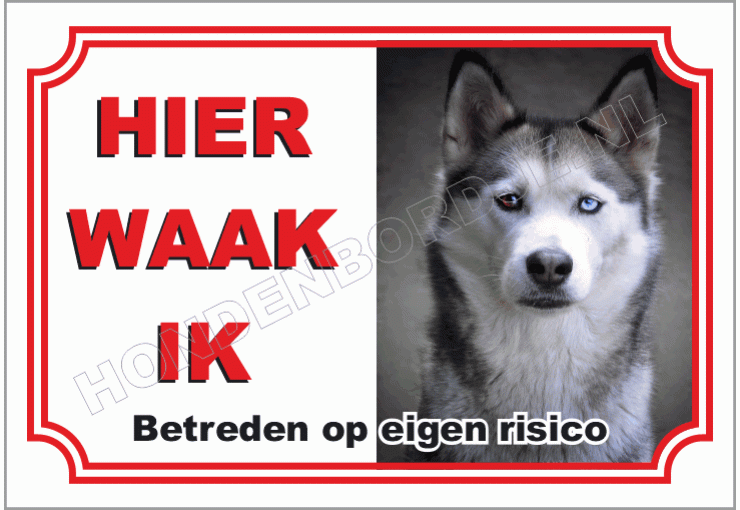 Husky