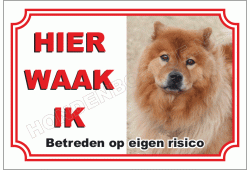 Chow chow