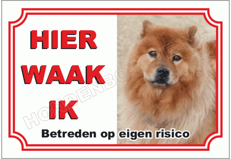 Chow chow