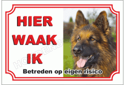Duitse herder