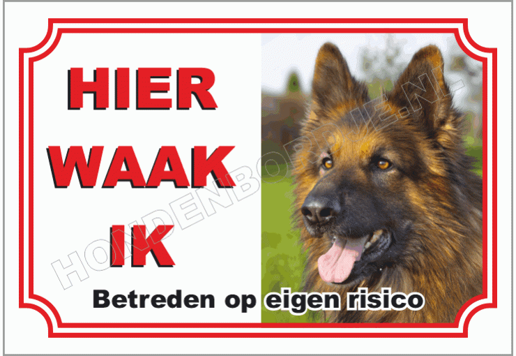 Duitse herder