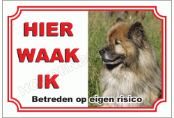 Eurasier