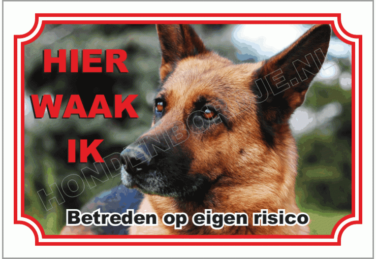 Duitse herder