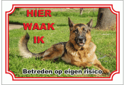 Duitse herder
