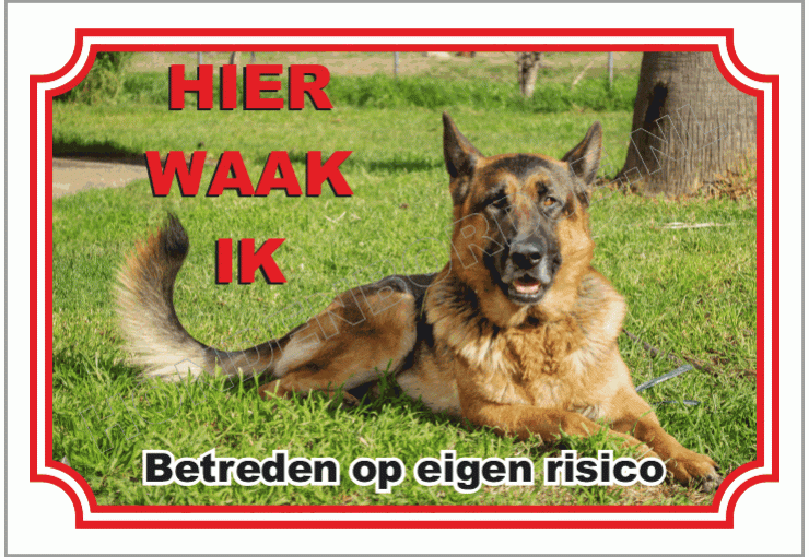 Duitse herder