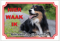 Australische herder