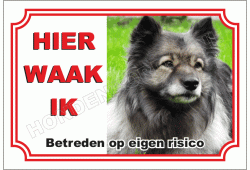 Grijze keeshond