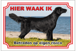Flatcoated retriever