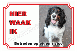 Engelse springer spaniel