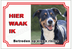 Entlebucher sennenhond