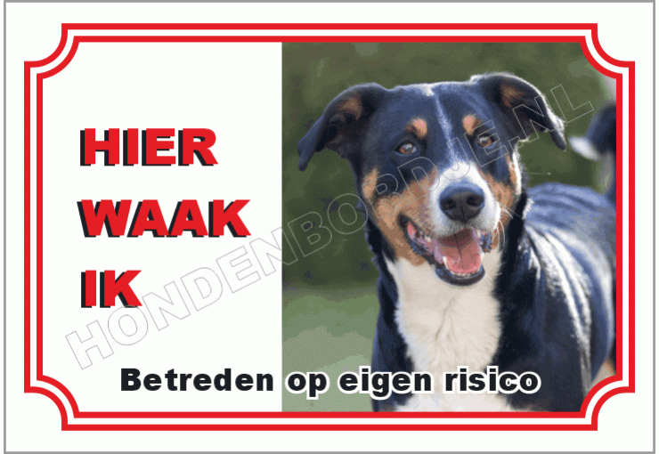 Entlebucher sennenhond
