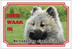 Eurasier