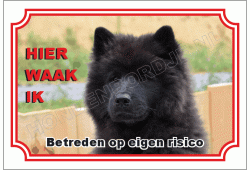 Eurasier