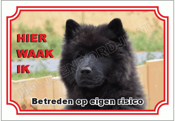 Eurasier