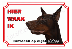 Dobermann