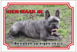 Franse bulldog grijs