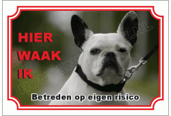 Franse bulldog zwart wit