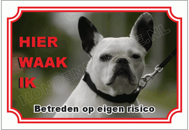 Franse bulldog zwart wit