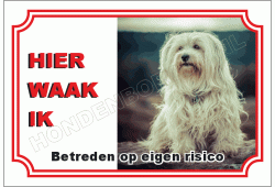 Havenezer