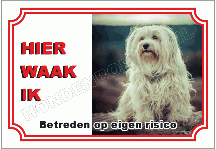 Havenezer