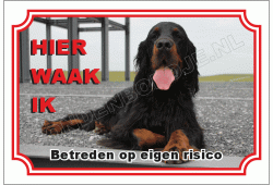 Gordon setter