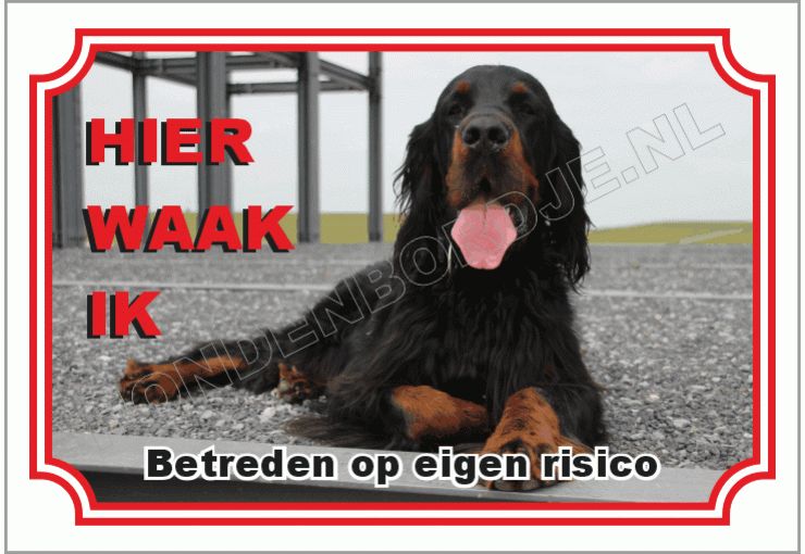 Gordon setter