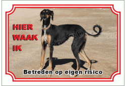 Greyhound zwart