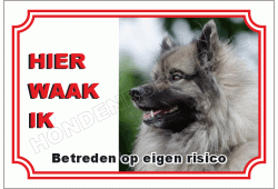 Grote keeshond wolfsgrijs
