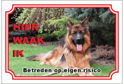 Lang harige oud duitse herder