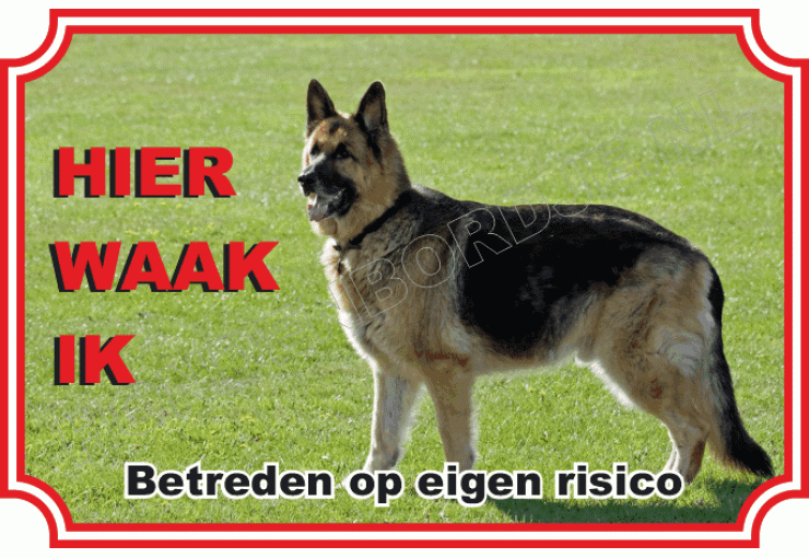 Duitse herder