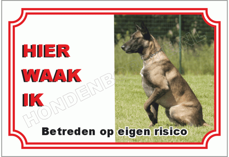 Mechelse herder