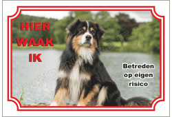 Australische herder