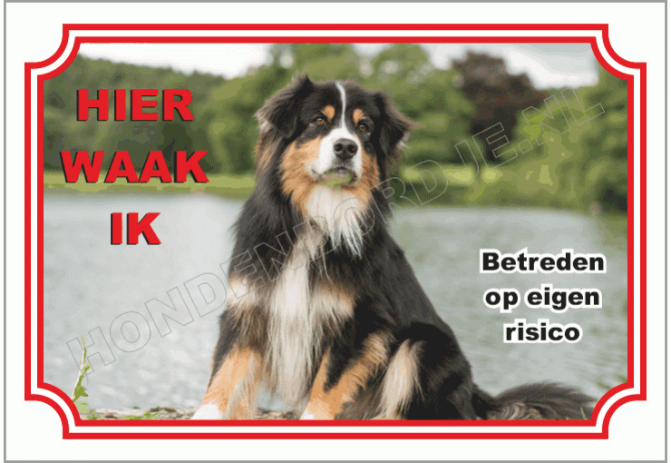 Australische herder