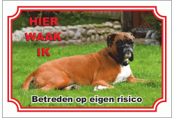 Boxer