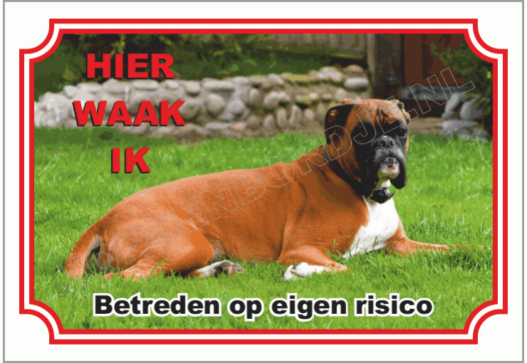 Boxer