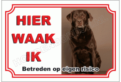 Bruine labrador