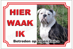 Bulldog