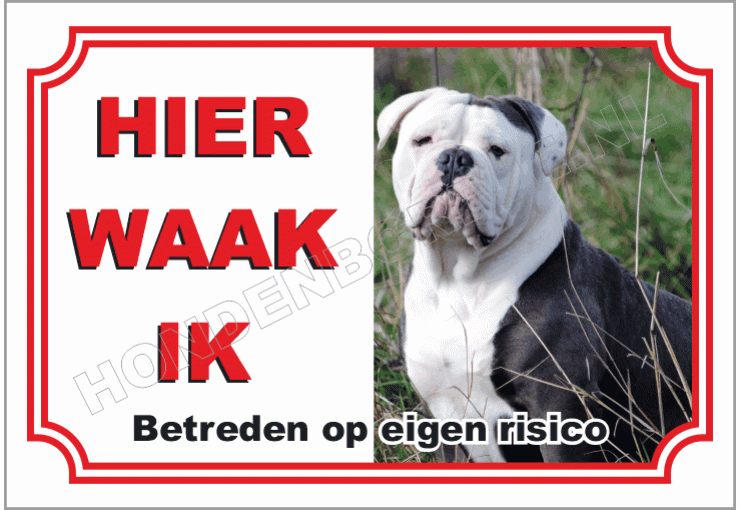 Bulldog