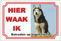 Husky