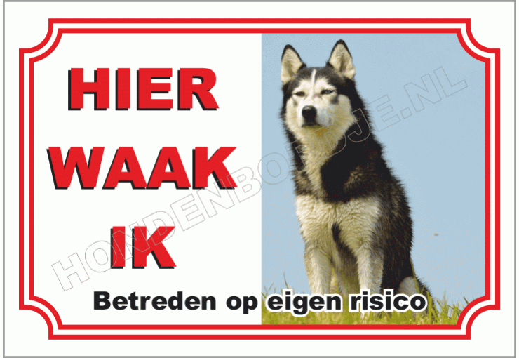 Husky