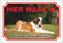 Sint bernard