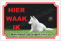 Witte husky