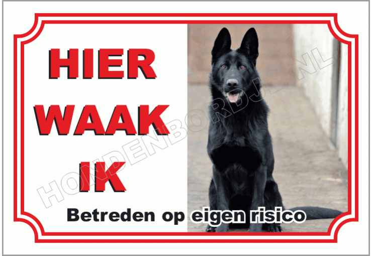 Zwarte herder