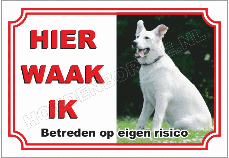 Zweedse witte herder