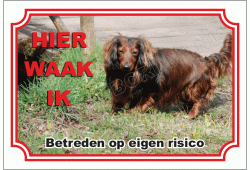 Teckel bruin