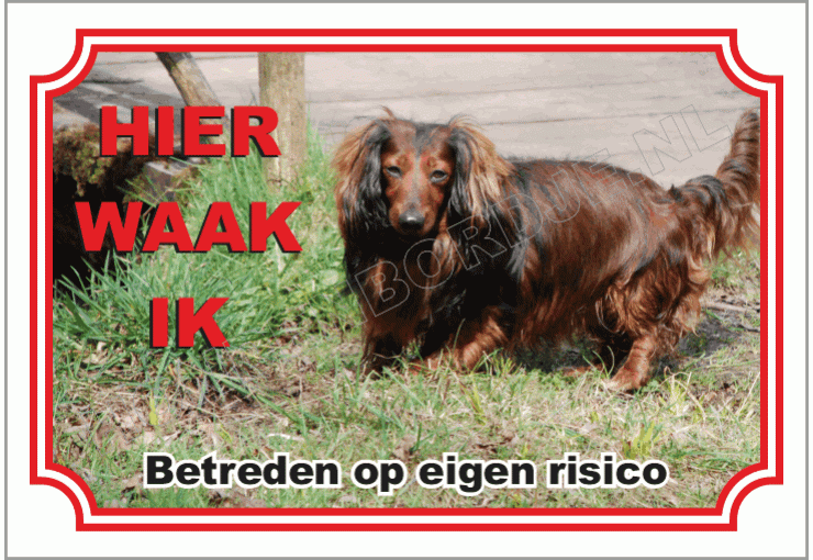 Teckel bruin