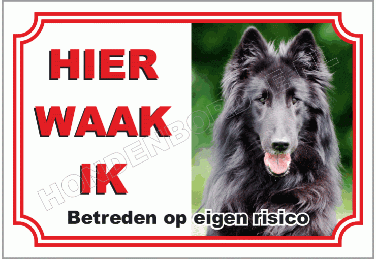 Zwarte Herder
