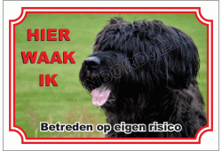 Briard Zwart