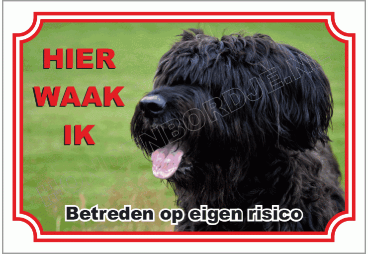 Briard Zwart