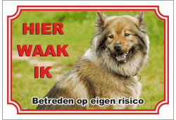 Bruine Samoyed